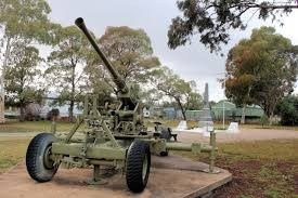 Army-Gun