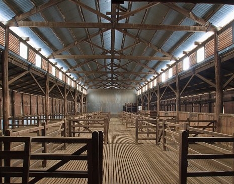 Brindly Park Shed