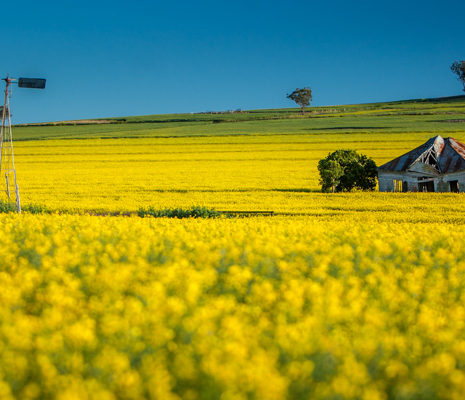 Left-in-Ruin-Merriwa-Upper-Hunter-Valley-Image-Credit-Aaron-Rusden-Photography