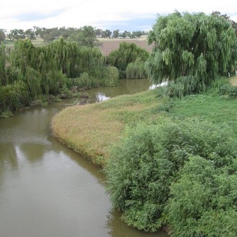 Merriwa-River-Rotary-Park-800x580