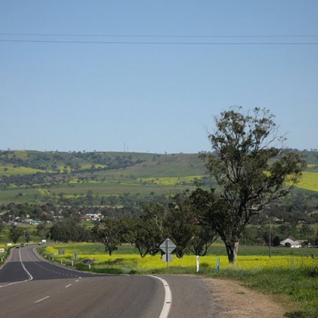merriwa2-800x580